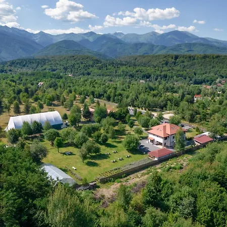 Pensiunea Negoiu 4*