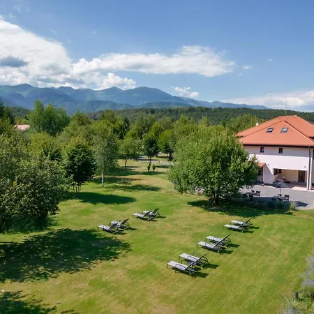 Pensiunea Negoiu Porumbacu de Sus