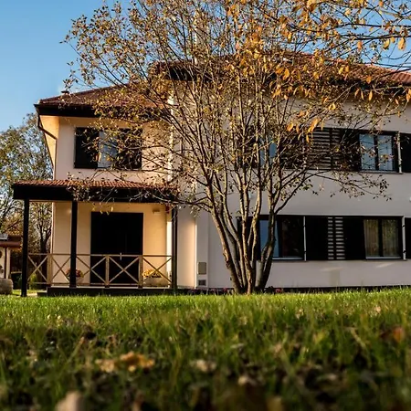 Pensiunea Negoiu 4*