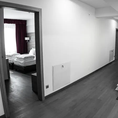Pensiunea Negoiu Hotel 4*