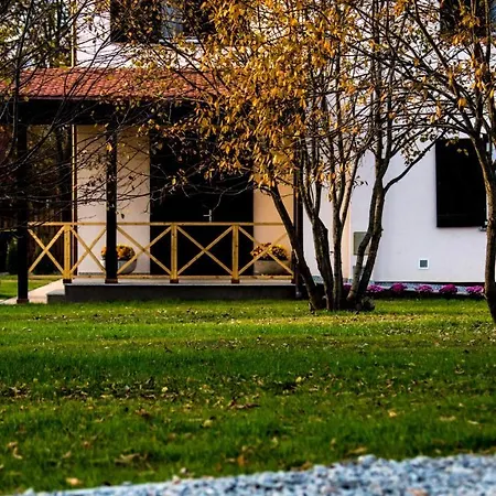 Pensiunea Negoiu 4*