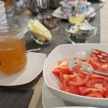 Pensiunea Negoiu Hotel 4*